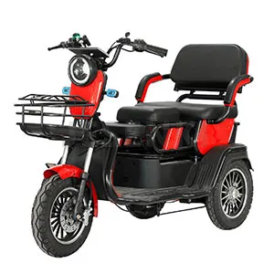 電動乗用三輪車 EEC